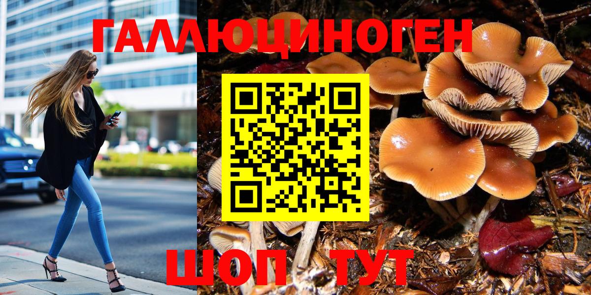 Псилоцибиновые грибы Magic Shrooms Электросталь