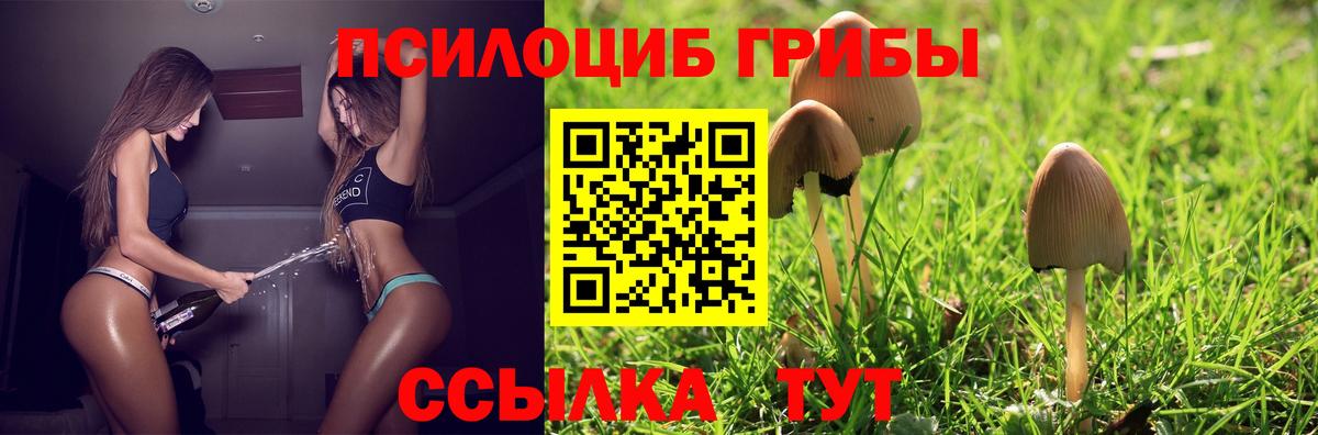 Галлюциногенные грибы Psilocybine cubensis  Псилоцибиновые грибы мухоморы  Электросталь  Вход с VPN 